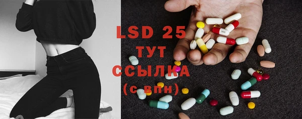 PSILOCYBIN Кукмор
