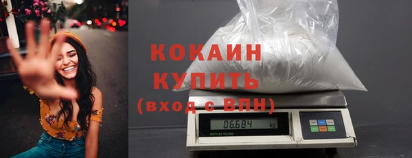 PSILOCYBIN Кукмор