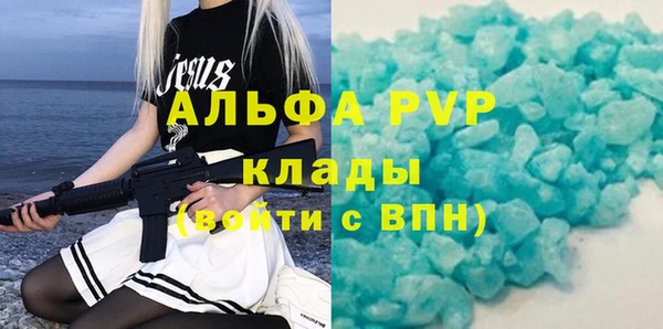 PSILOCYBIN Кукмор