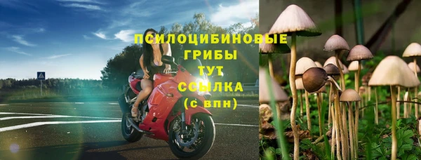 PSILOCYBIN Кукмор