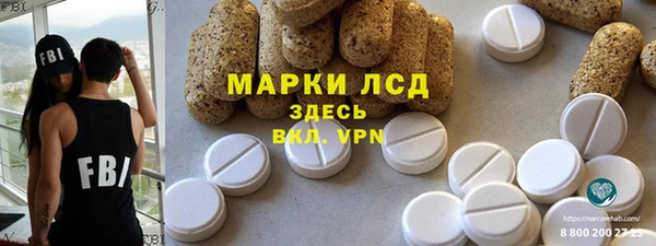 хмурый Лагань