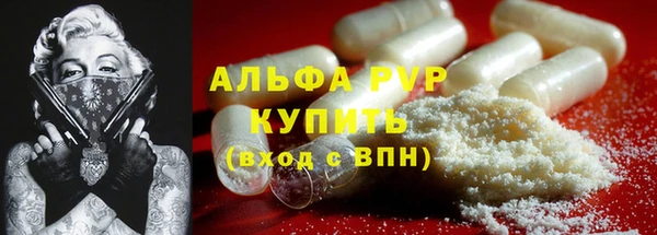 PSILOCYBIN Кукмор