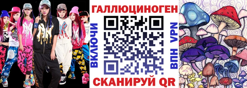 купить  цена  Людиново  Галлюциногенные грибы Psilocybe 