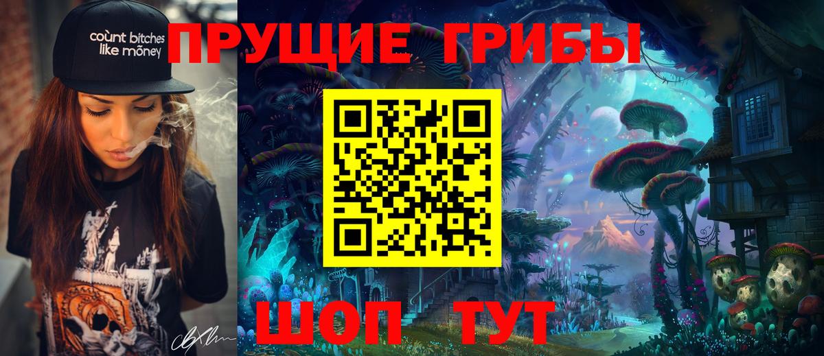 Людиново  Галлюциногенные грибы прущие грибы  Вход с VPN 