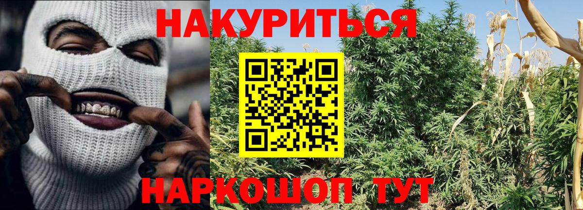 Бошки Шишки AK-47  Шишки марихуана LSD WEED  Людиново  Вход с VPN  Бошки марихуана сатива  Каннабис Bruce Banner 